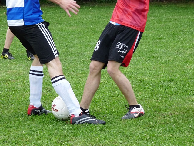 淮超小课堂开课了，九子夺嫡，你最希望谁夺冠