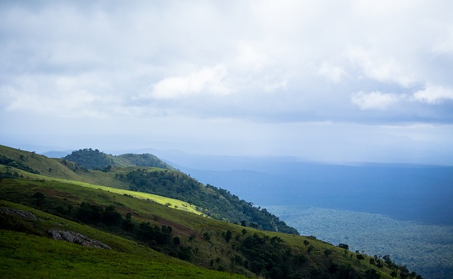 市场上巨星 市场上巨星