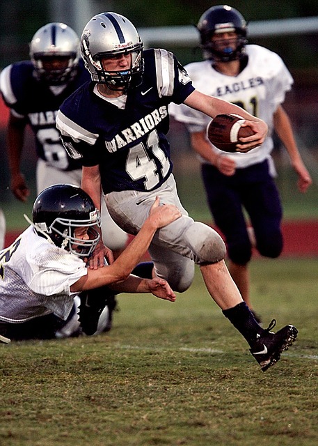 域的城市内 域的城市内