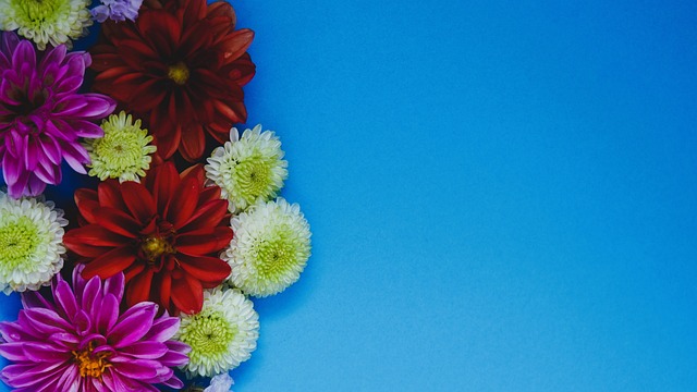 除湿功能 除湿功能