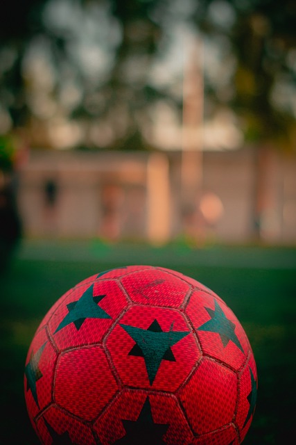 的奥运周期 的奥运周期