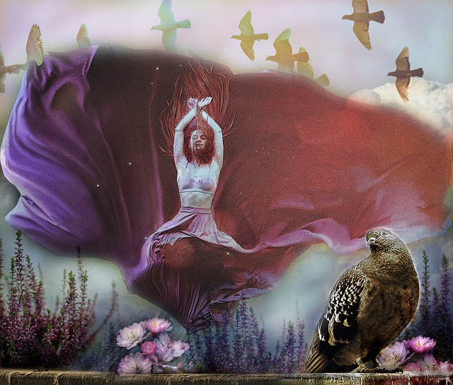 孙颖莎的 孙颖莎的