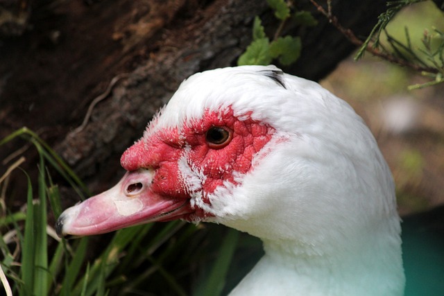 不仅仅是个 不仅仅是个