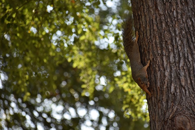 多次凭借个 多次凭借个