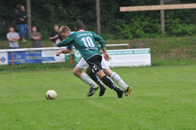 塔图姆都全 塔图姆都全