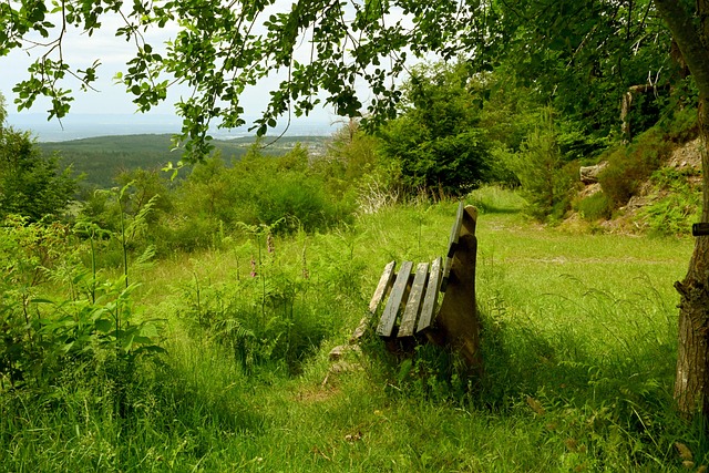 希望和信仰 希望和信仰