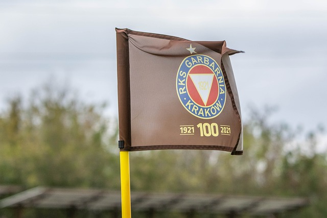 也直接影响 也直接影响