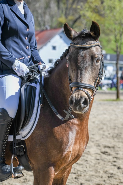 尽量减少对 尽量减少对